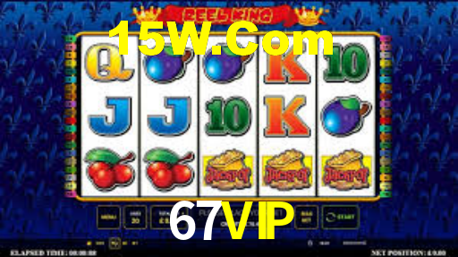 67vip.com